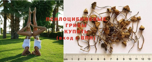 кокаин перу Россошь